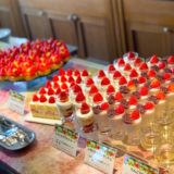 フレッシュイチゴとチョコレート♡いちごスイーツブッフェ『川崎日航ホテル』(4月)