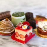 11/26まで！梅干し×チョコレートの斬新クリスマスケーキも。『アルカション』@マパテ(11月)